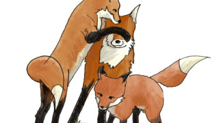 Atelier Dessin de Nicolas Gilsoul : Les Animaux du P&egrave;re Lachaise
